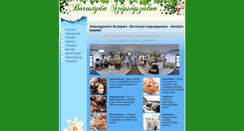 Desktop Screenshot of borostyanszepseg.hu